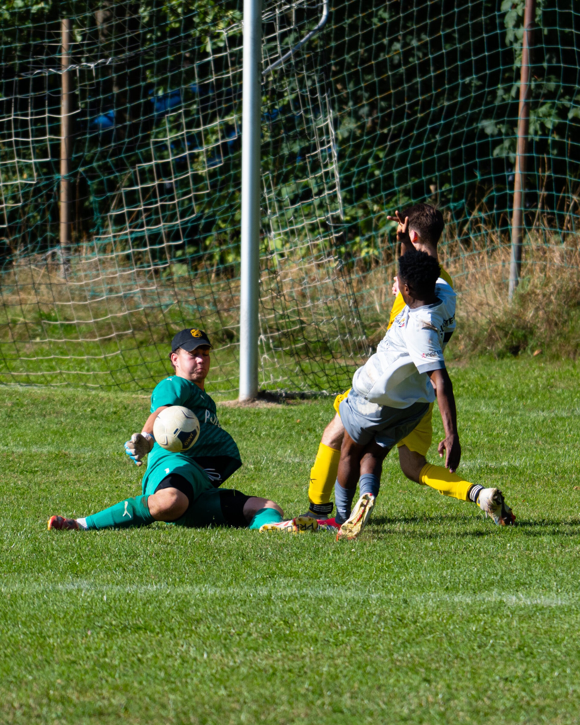 _dsc3834-standard.jpg