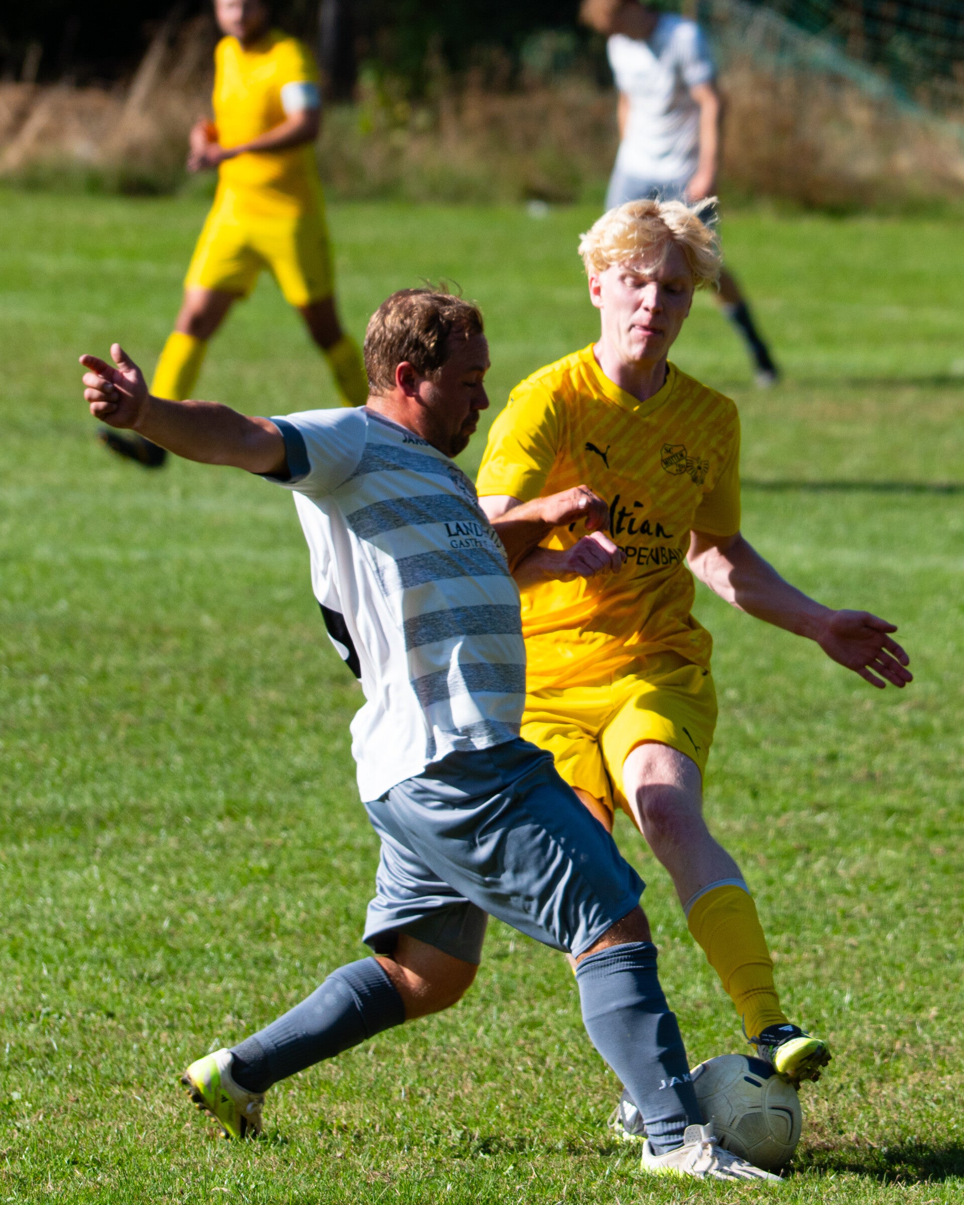 _dsc3839-standard.jpg