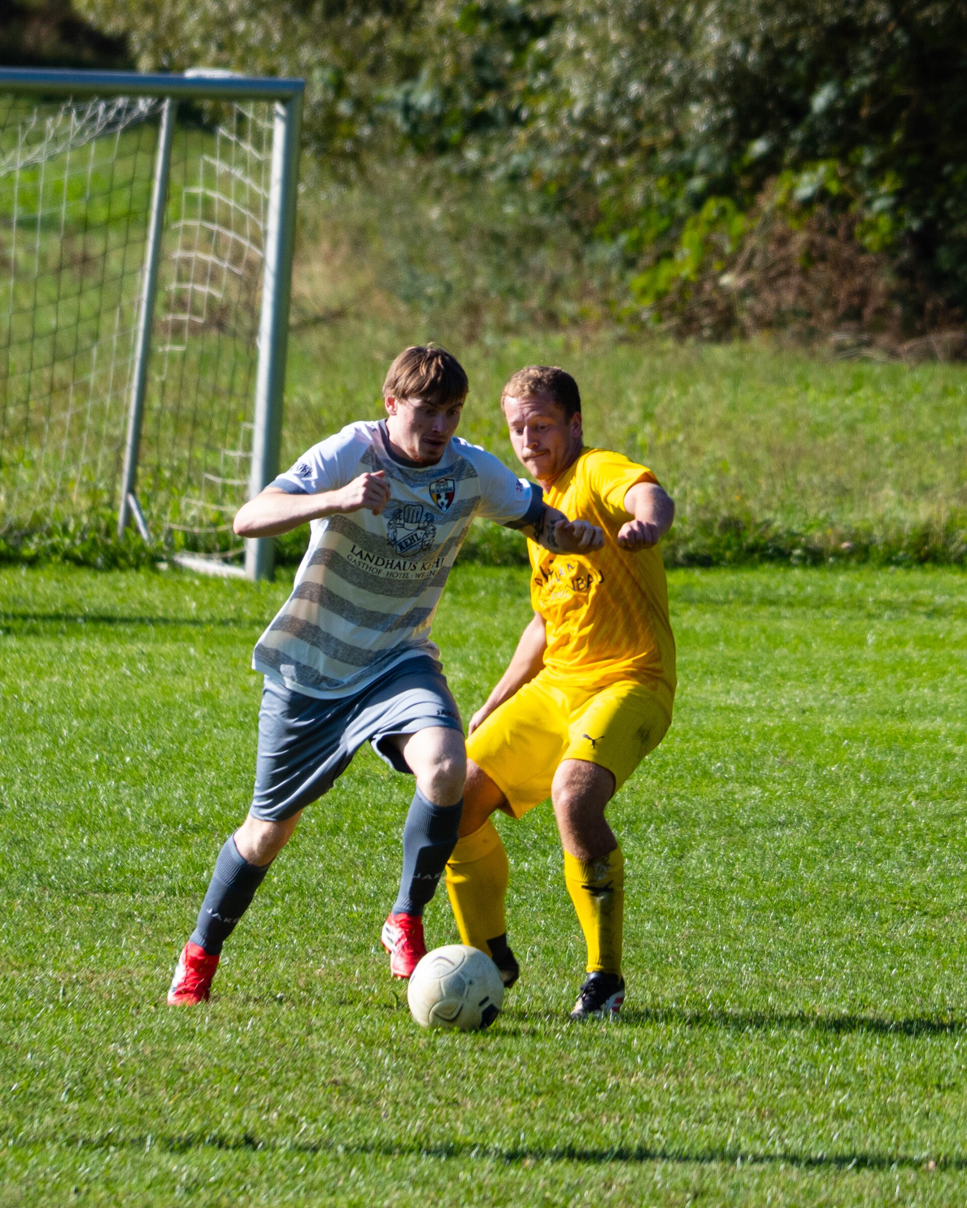 _dsc3842-standard.jpg