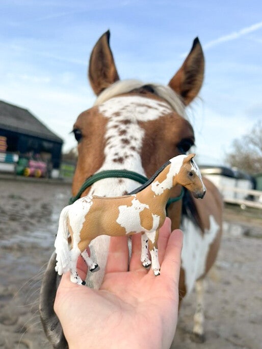 Jouw pony of paard als miniatuur | Schleich repaint in opdracht met de hand geschilderd door Paardendiorama | origineel en persoonlijk cadeau voor paardenmeisje, paardenjongens, paardenfans en een bijzonder aandenken