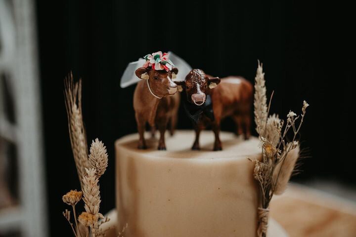 Jouw koe en stier als miniatuur voor op de bruidstaart| Schleich repaint in opdracht met de hand geschilderd door Paardendiorama | origineel en persoonlijk cadeau voor dierenvrienden en een bijzonder aandenken