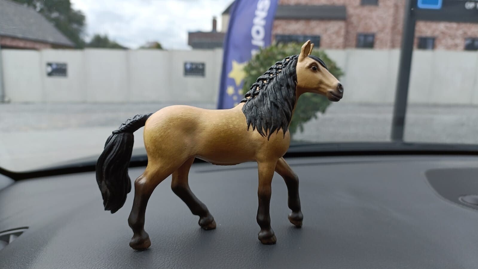 Silke kocht een miniatuur van haar paard