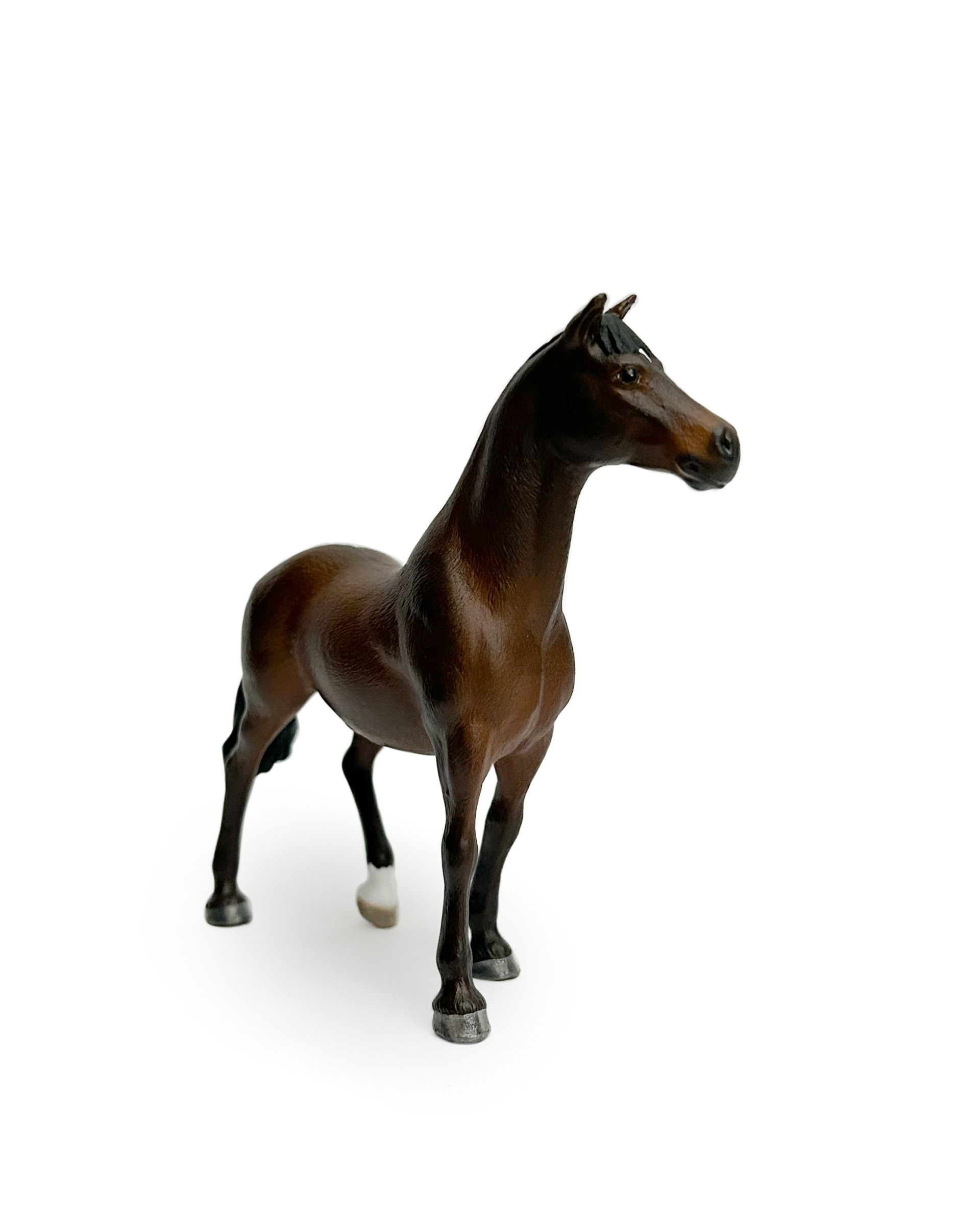 Jouw pony of paard als miniatuur | Schleich repaint in opdracht met de hand geschilderd door Paardendiorama | origineel en persoonlijk cadeau voor paardenmeisje, paardenjongens, paardenfans en een bijzonder aandenken
