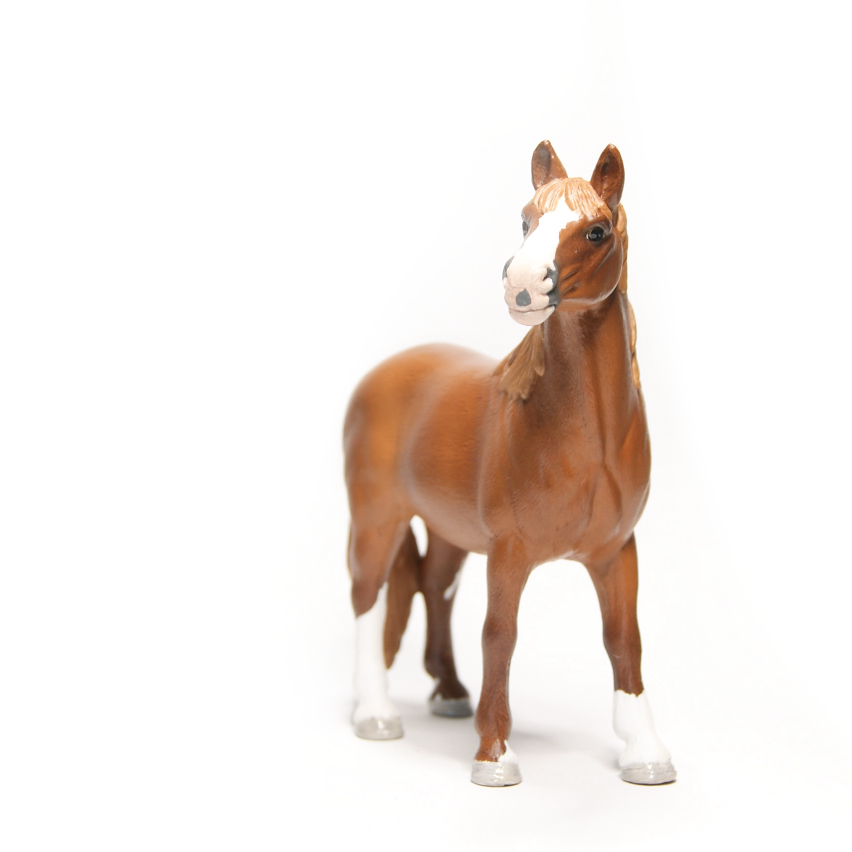 Jouw pony of paard als miniatuur | Schleich repaint in opdracht met de hand geschilderd door Paardendiorama | origineel en persoonlijk cadeau voor paardenmeisje, paardenjongens, paardenfans en een bijzonder aandenken