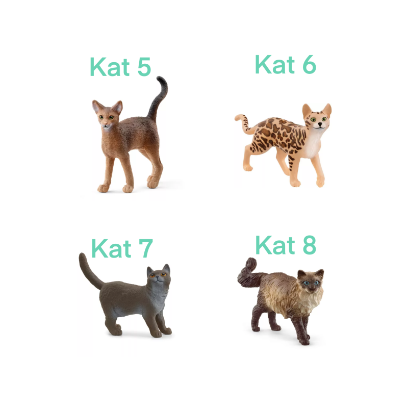 Jouw kat als miniatuur basismodellen