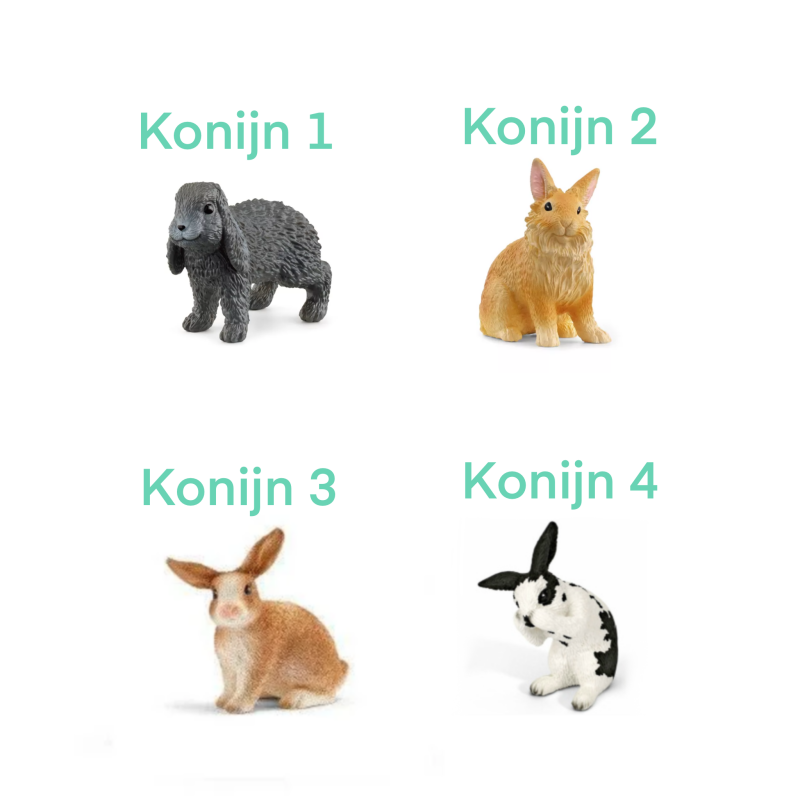 Jouw konijn als miniatuur basismodellen