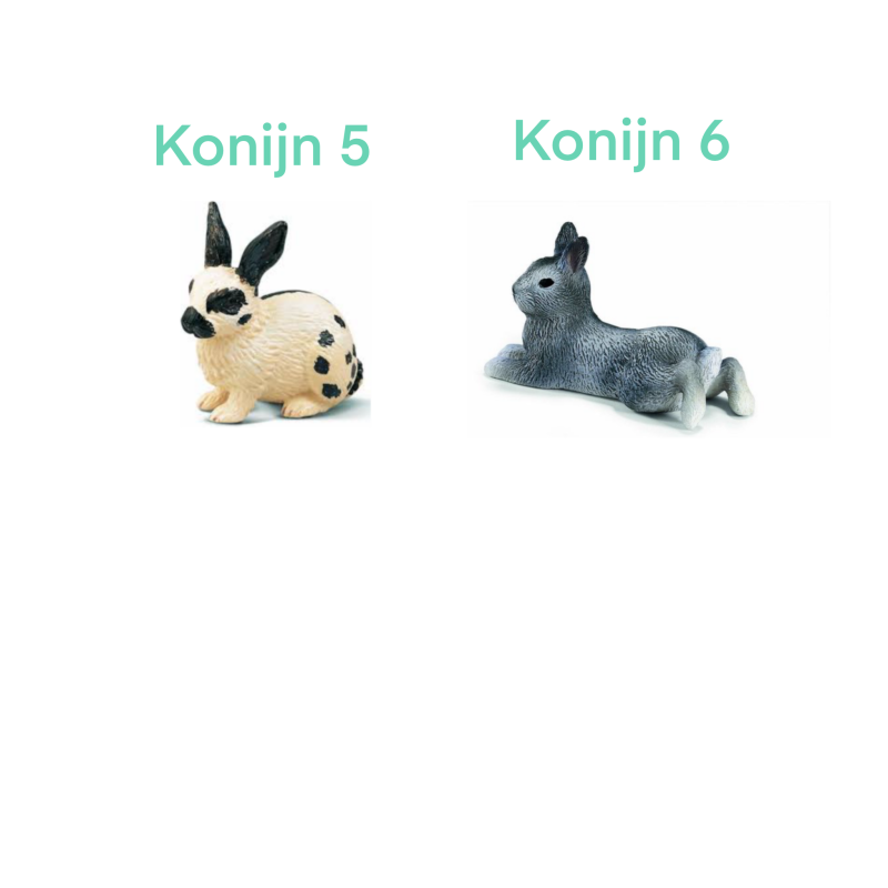 Jouw konijn als miniatuur basismodellen
