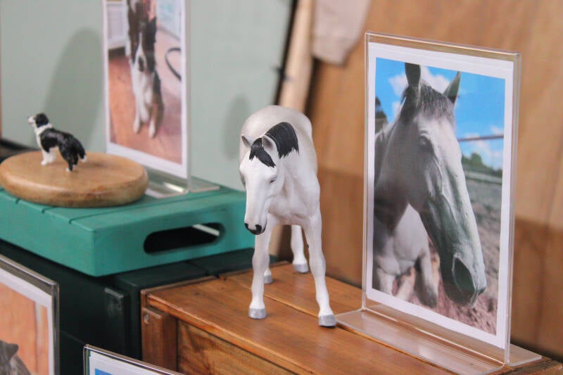 Paardendiorama stand op EquiDay voorjaar 2026 met handgeschilderde miniaturen van jouw dier als miniatuur als aandenken of cadeau voor dierenliefhebbers en paardenfans | foto door Ilsa van der Veen