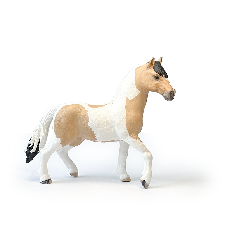 Jouw pony of paard als miniatuur | Schleich repaint in opdracht met de hand geschilderd door Paardendiorama | origineel en persoonlijk cadeau voor paardenmeisje, paardenjongens, paardenfans en een bijzonder aandenken