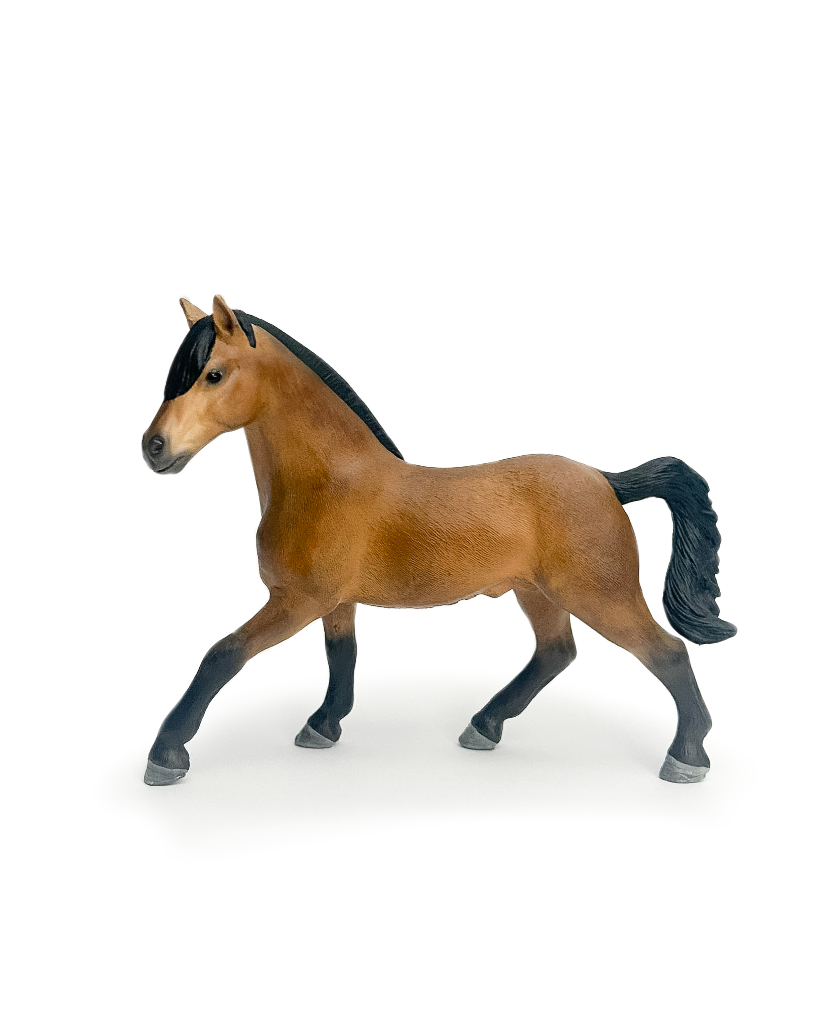 Jouw pony of paard als miniatuur | Schleich repaint in opdracht met de hand geschilderd door Paardendiorama | origineel en persoonlijk cadeau voor paardenmeisje, paardenjongens, paardenfans en een bijzonder aandenken
