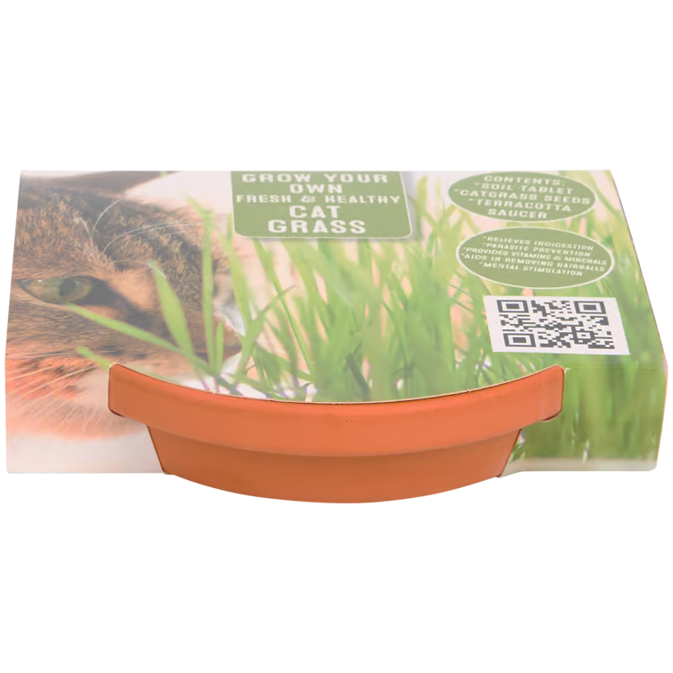 Kattengras kweekset 3-delig