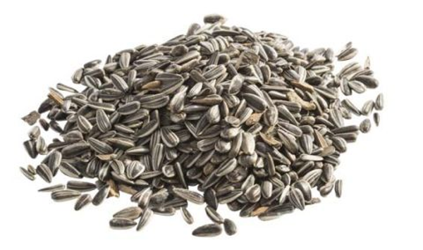 Zonnebloempitten 800g – Voedzame Snack voor Tuinvogels