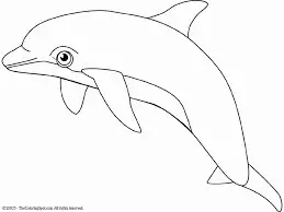 5ca3a03300.webp