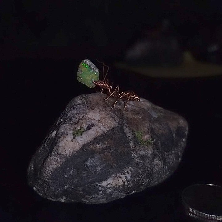 Opal Ant #11