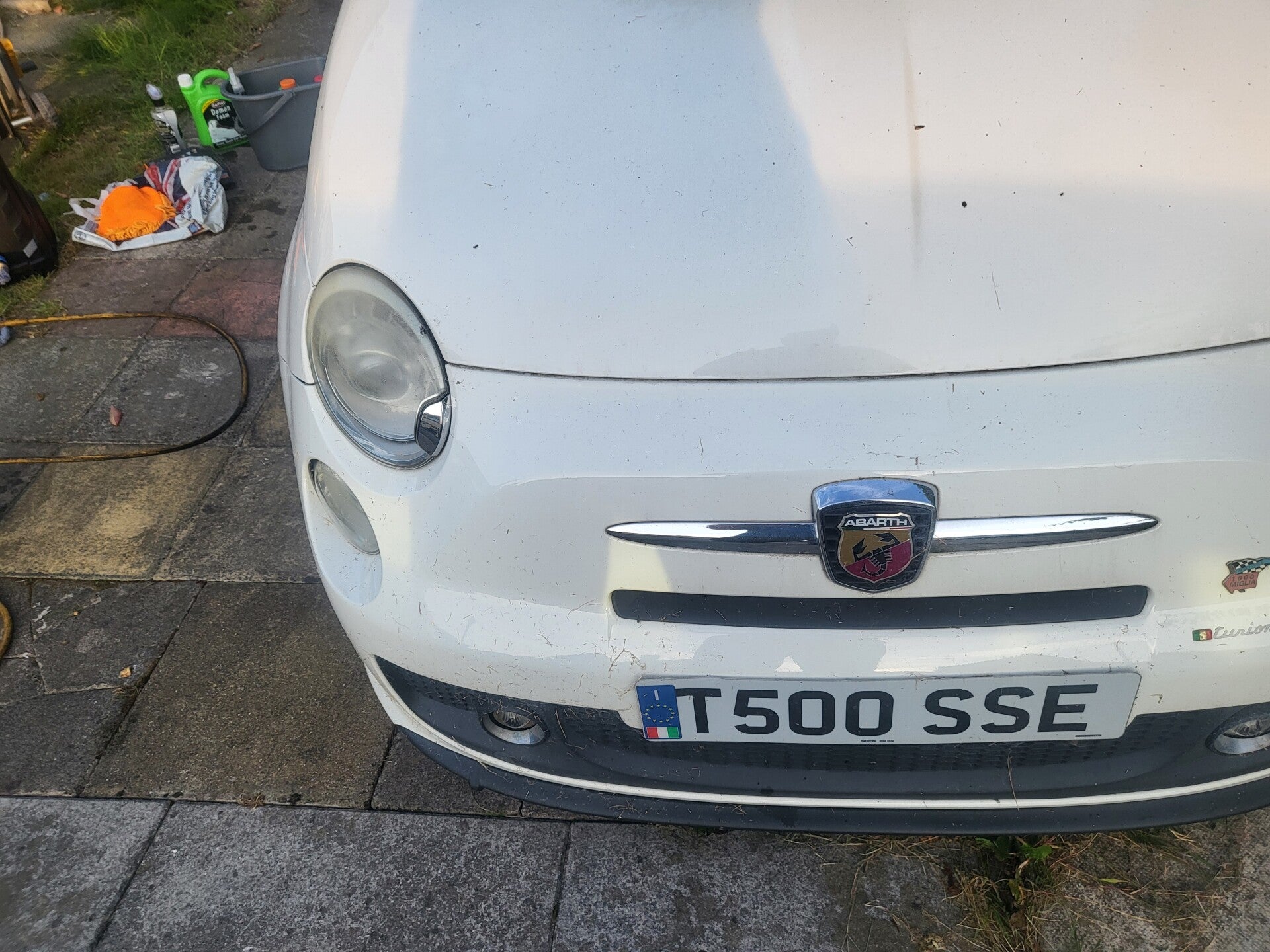 1000017266-standard.jpg