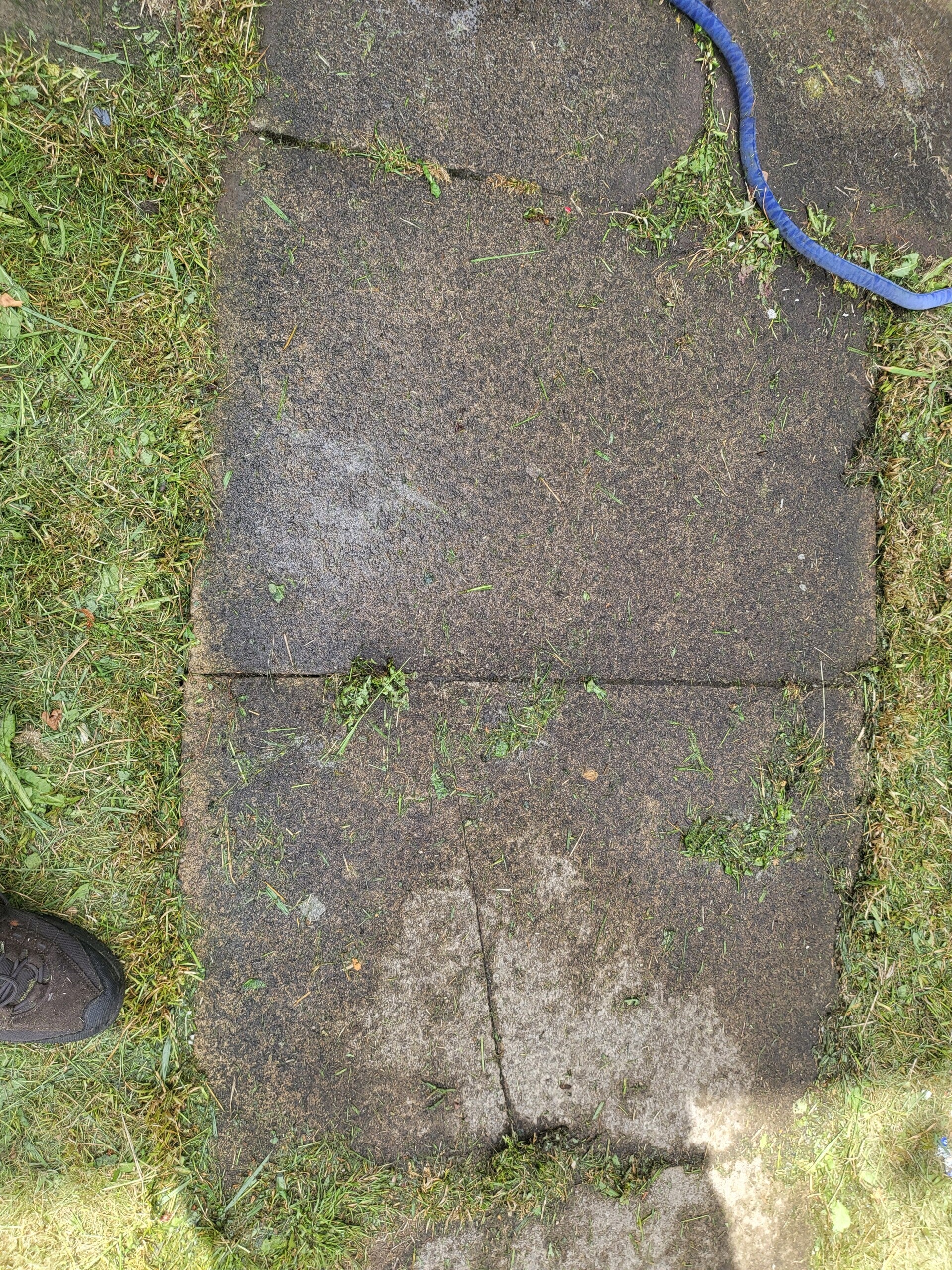 1000017563-standard.jpg
