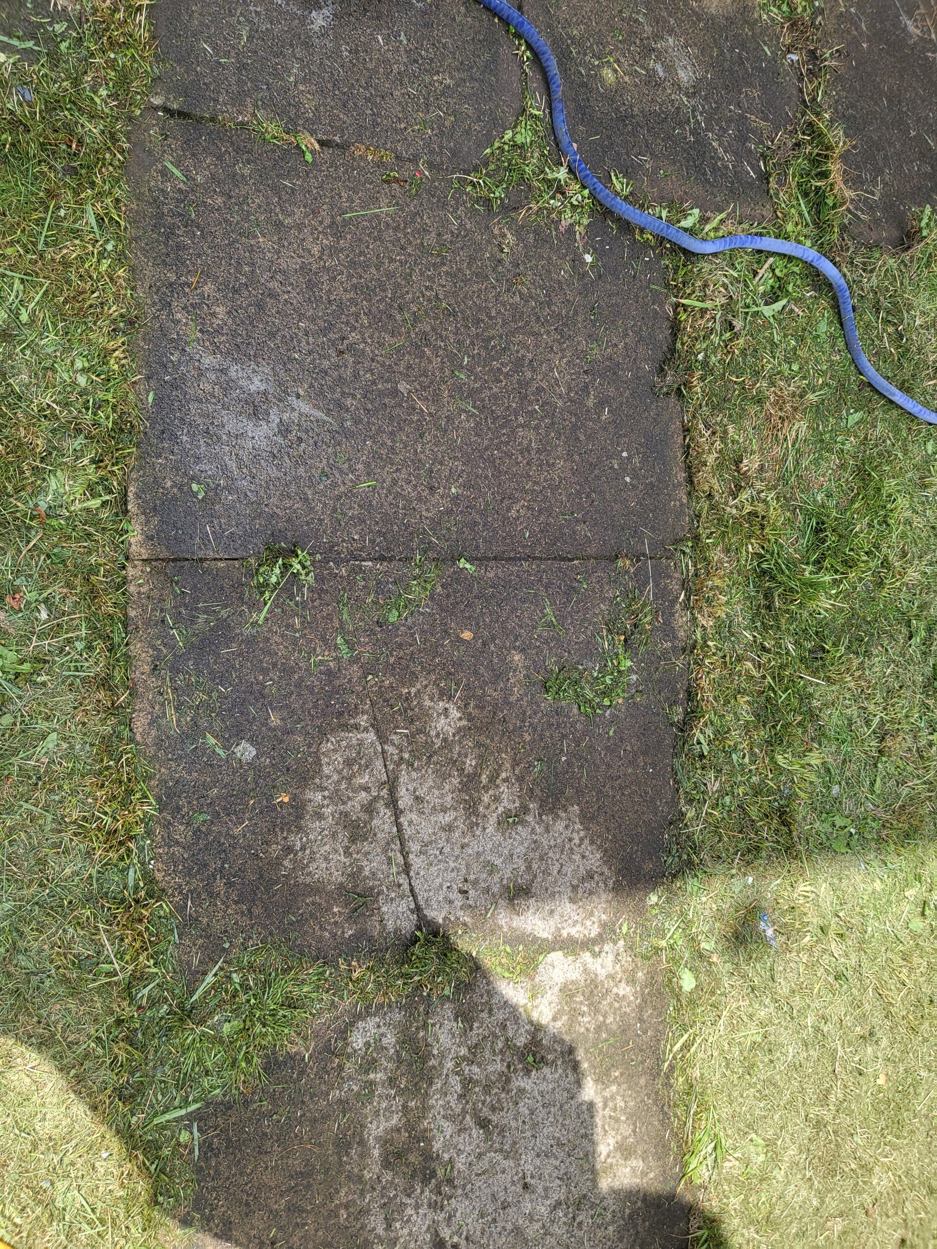 1000017564-standard.jpg