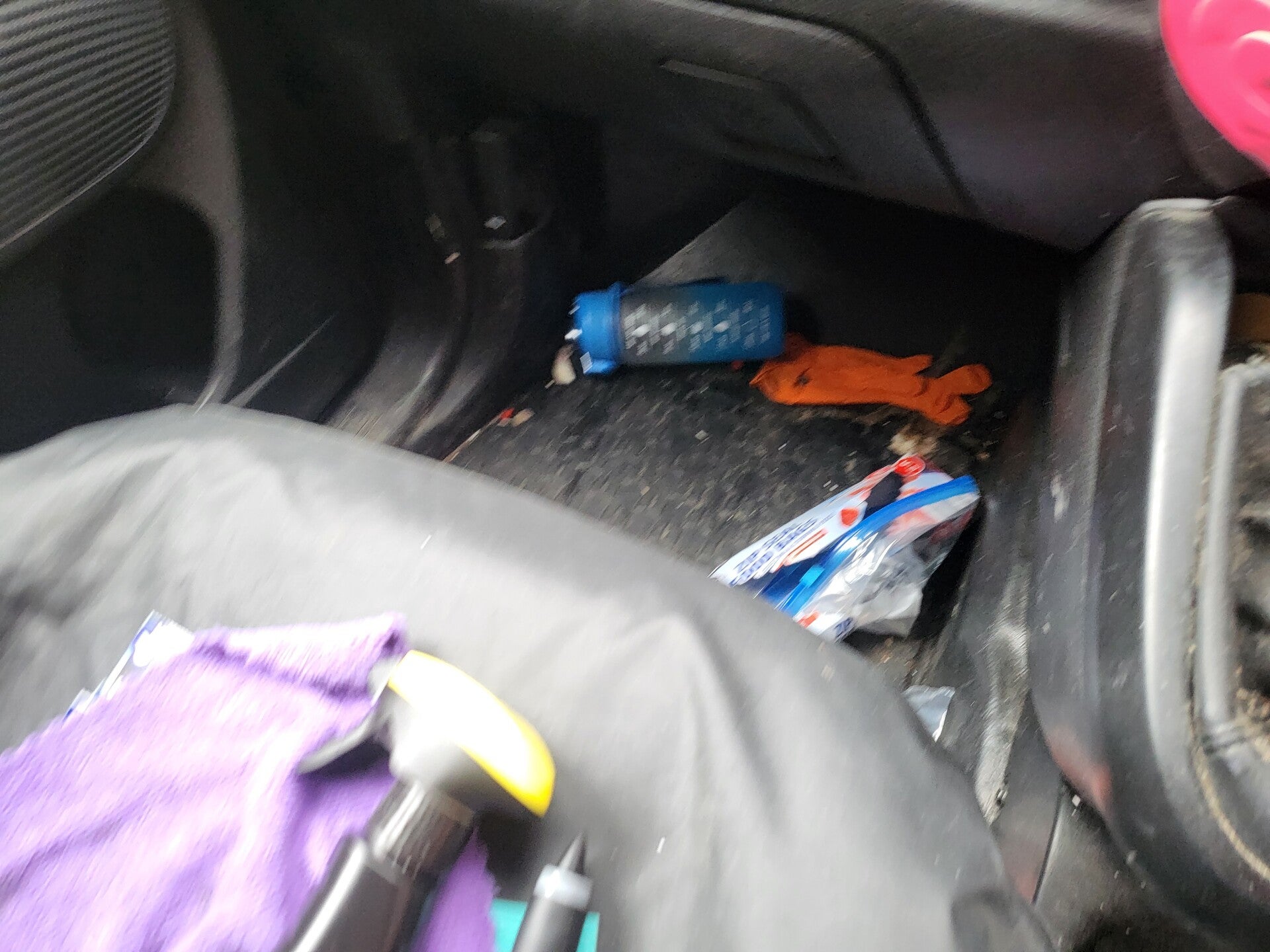 1000017619-standard.jpg