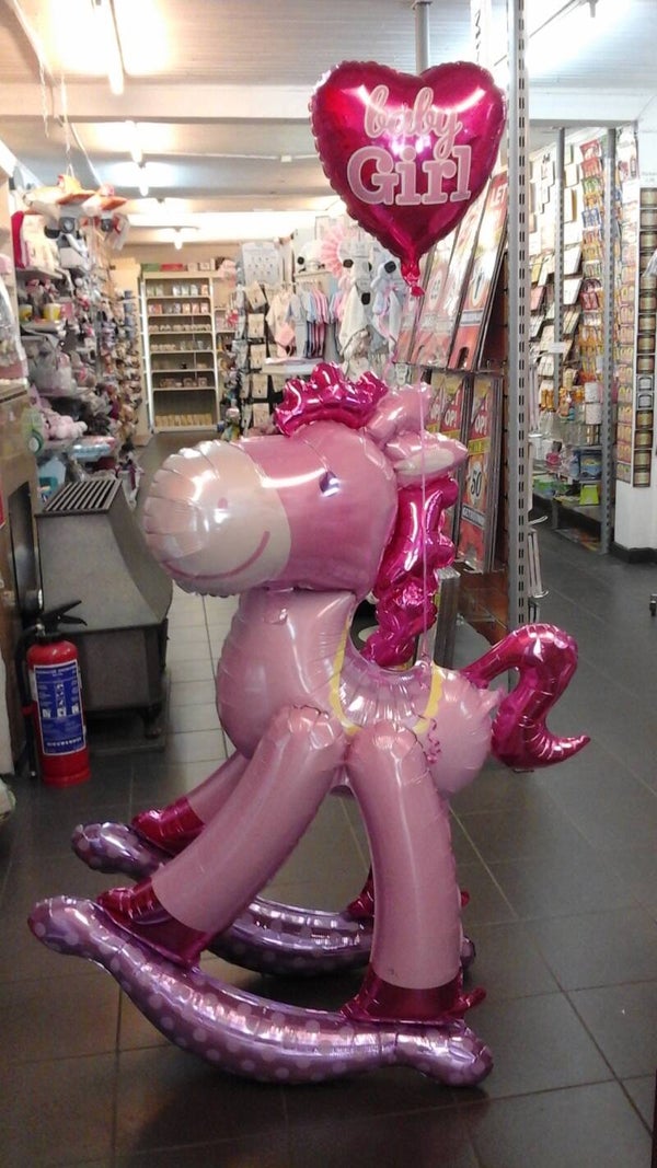 Geboorte meisje paard