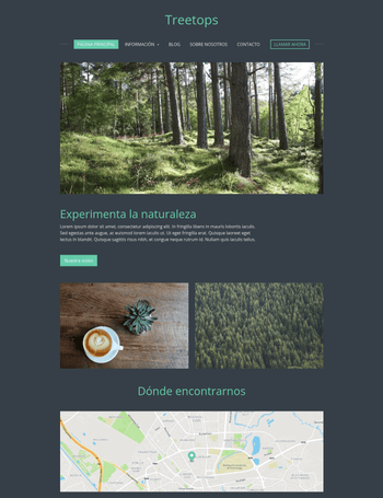 Treetops