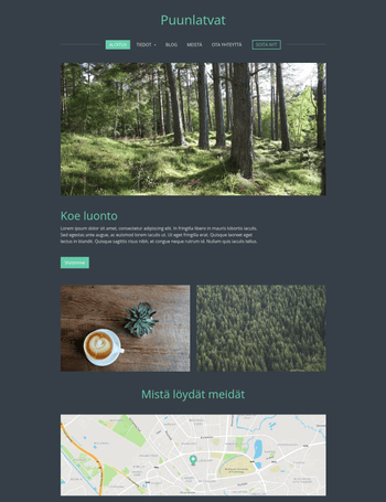 Treetops