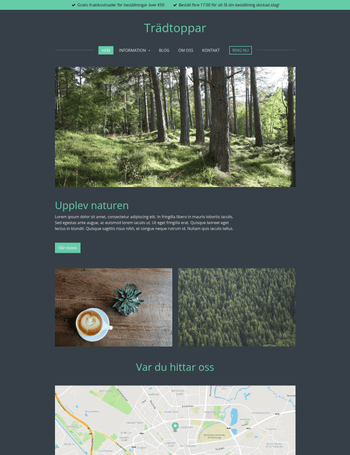 Treetops