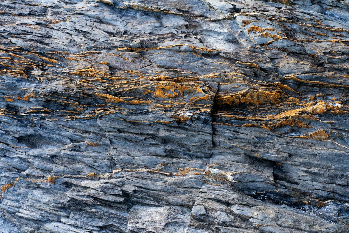 Collection de roches | Géologie et Collections