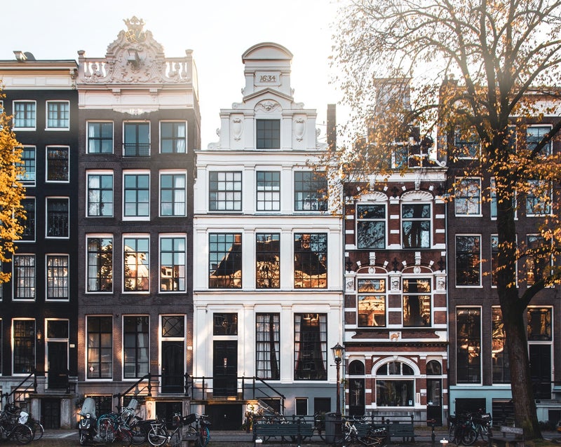 Amsterdam Dog-Friendly Travel: What To Do?