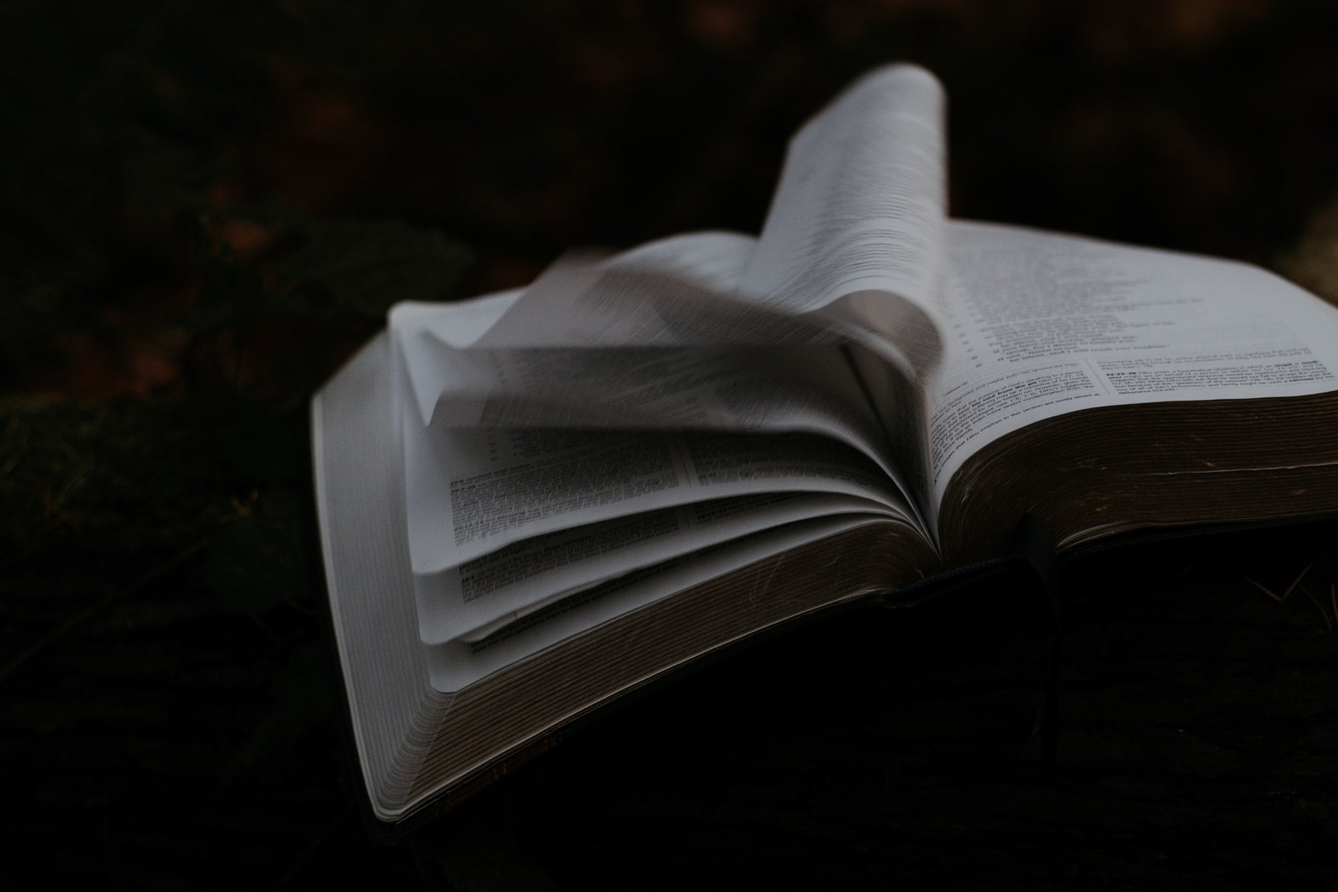 Klik op dit plaatje om naar de romans van Rein Menke's Webfplek te gaan