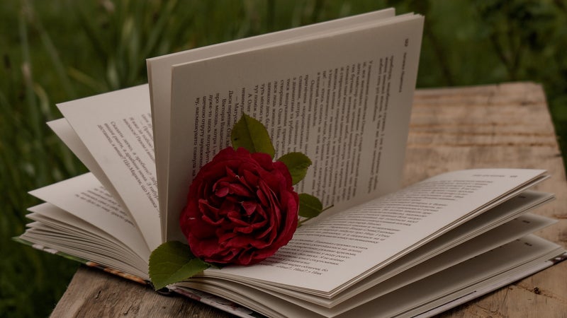 Een rode roos in een boek