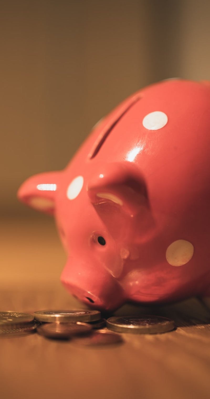 ZZP Finance | spaarvarken