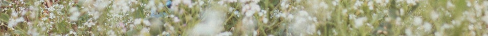 Ausschnitt eines Blumenfledes
