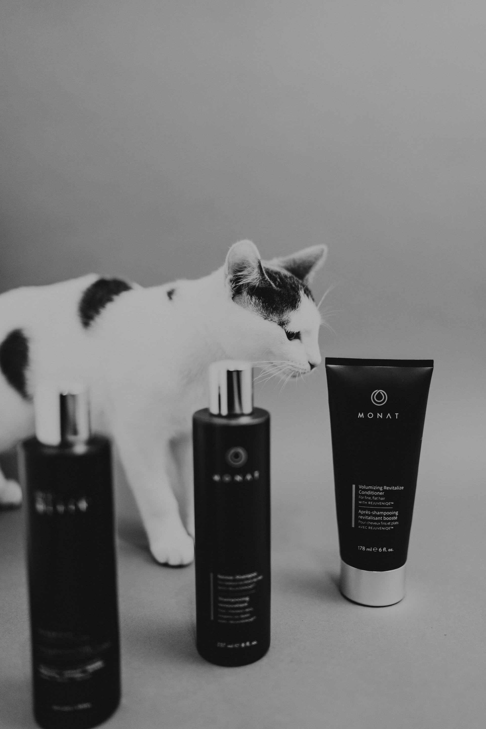 Cosmétiques pour chiens et chats