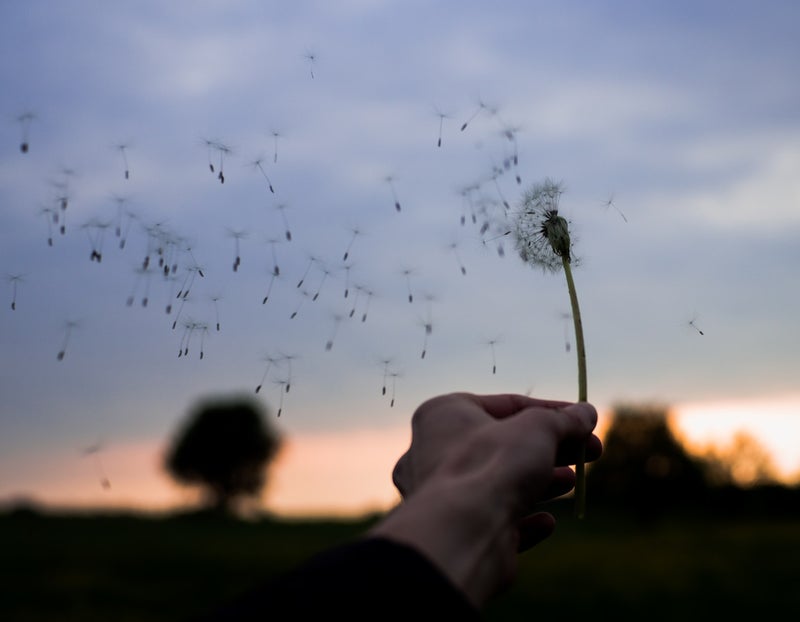 Become a Umana Technique Practitioner