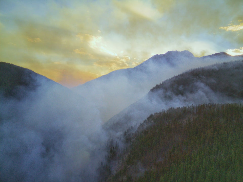 carbon credits