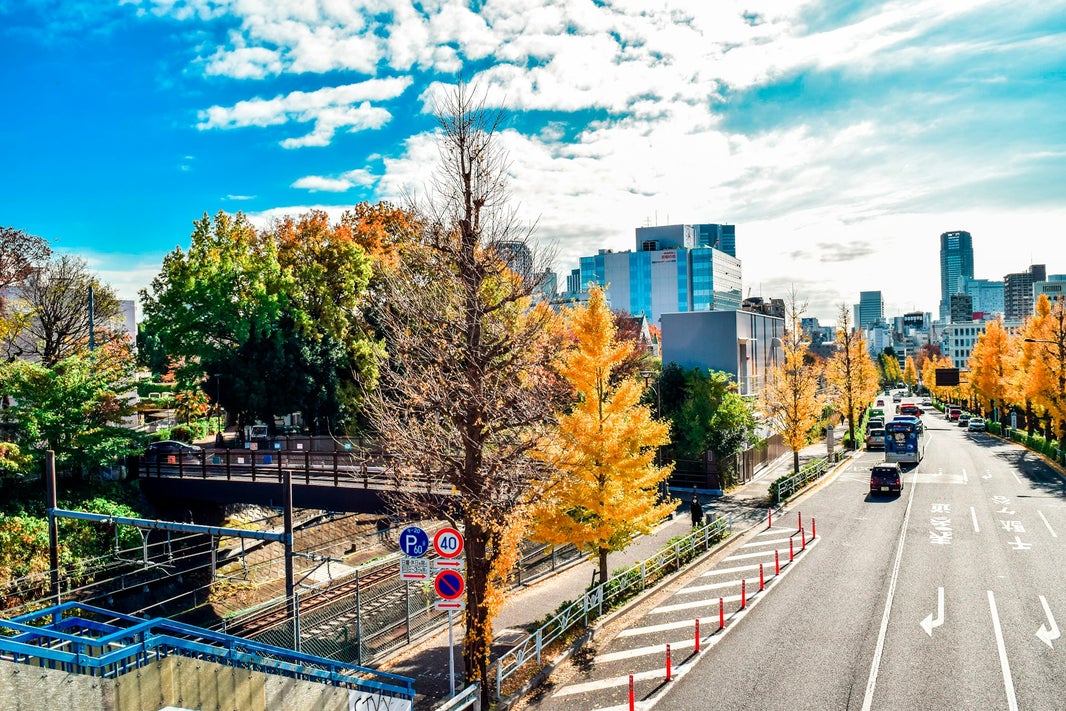 Harajuku