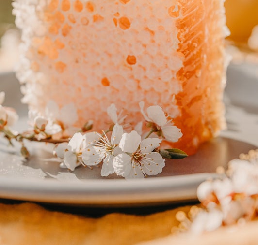 Honeycomb on the plate in the kitchen.