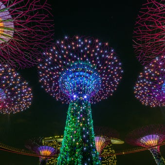 Gardens by the Bay