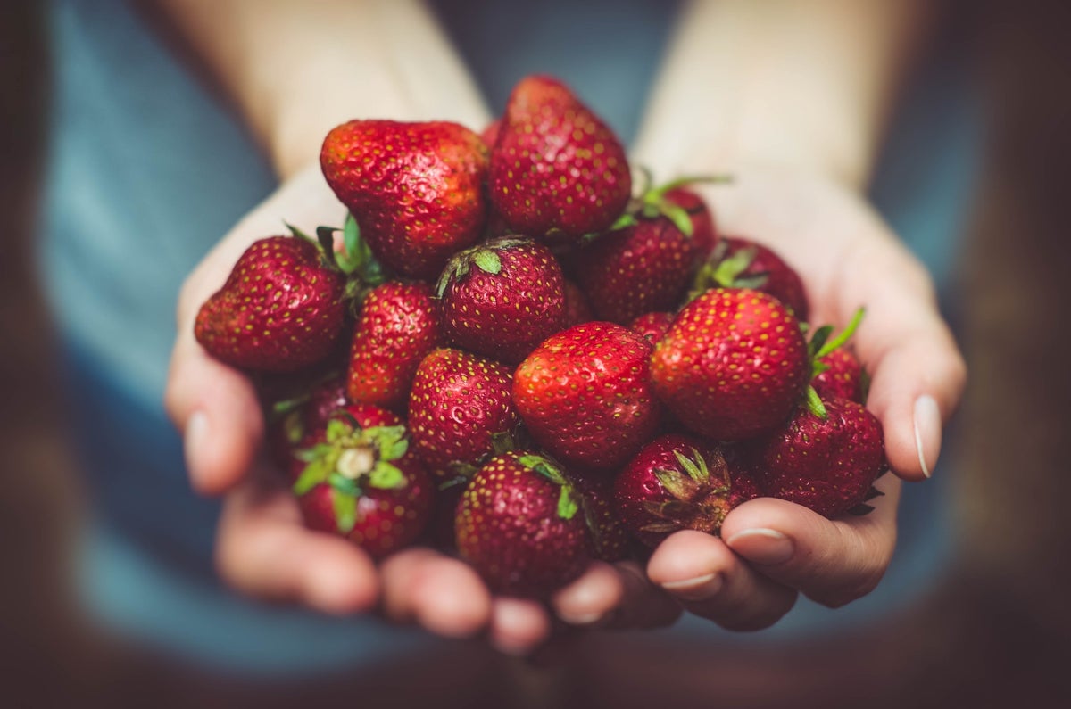 www.naturalvita.nl