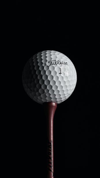 The Golf Shedd - Photo 3