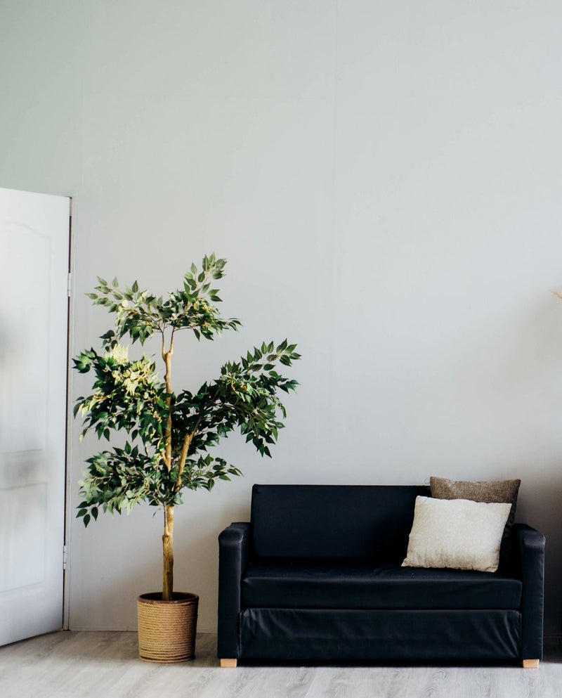 diagnostic immobilier réalisé dans un appartement à Saint-Etienne