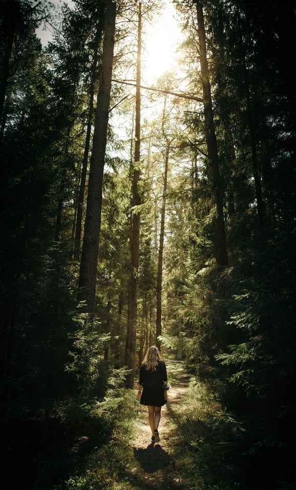 Wandelen in het bos