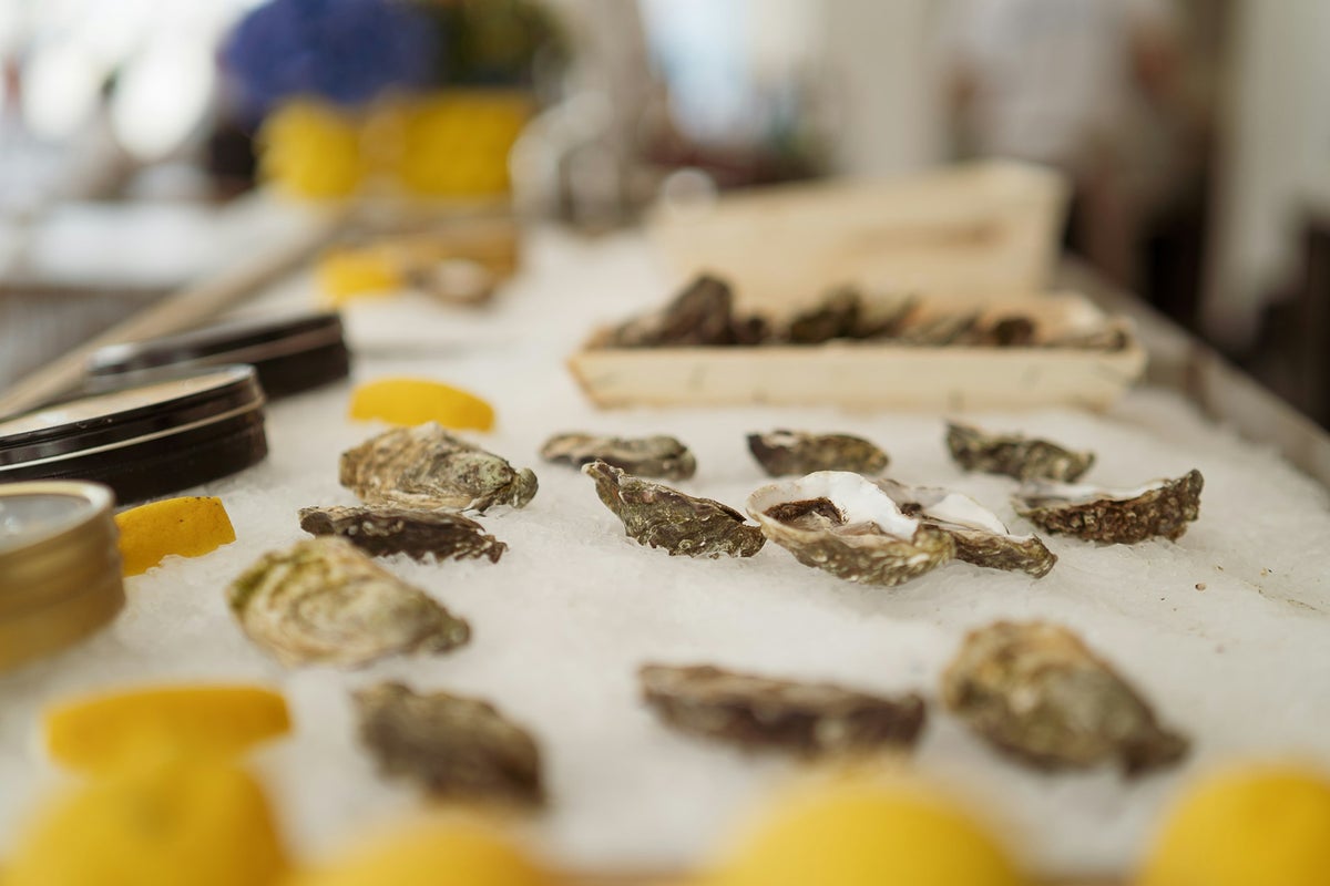 Zijn Oesters Nog Levend Als Je Ze Eet?