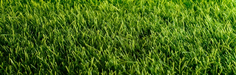 Precio Instalación Césped Artificial en Madrid