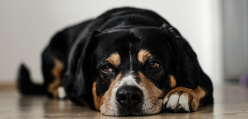 aandelen zakken verder weg