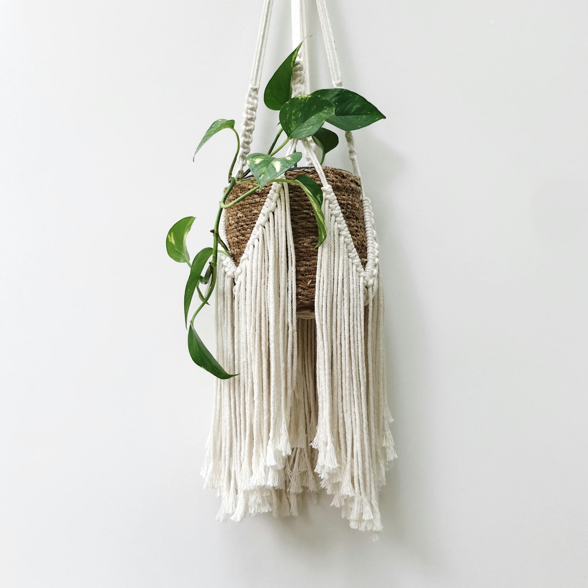 Une suspension pour plante en macramé est accrochée sous le plafond, mettant en valeur une plante tombante qui ajoute une touche de verdure à l’espace. Le macramé est réalisé en coton peigné, avec de longues franges élégantes qui descendent gracieusement,