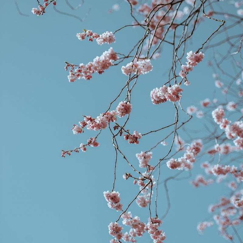 hormonal balance treatment amsterdam