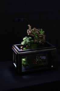 aquarium ornamenten