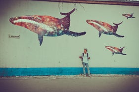 We are collecting donation after each sale we make to support a greater cause such as saving the Oceans and saving the whales! Help us lower CO2 and save our world. Shop on Dare2swear.com