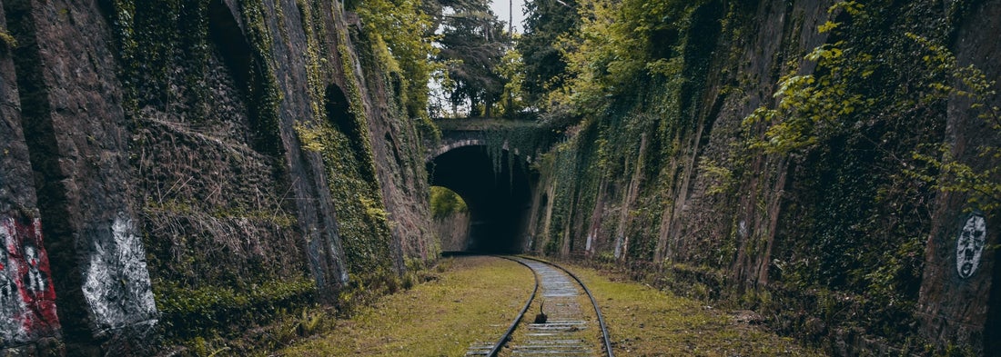 treinreizen-frankrijk-parijs-stedentrip-trein-la-petite-ceinture
